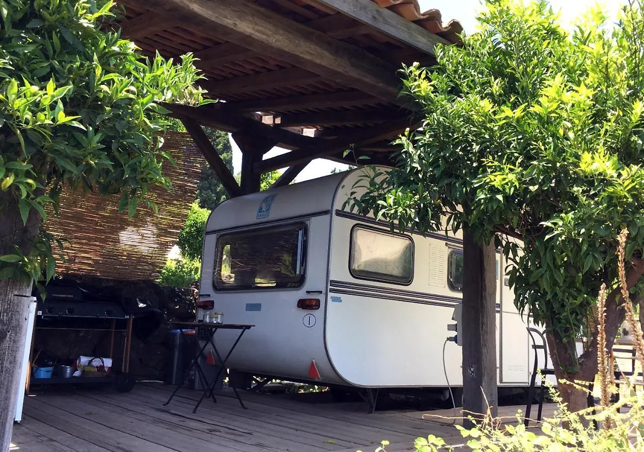 Bagol'Area Etna Eco Farm Villa Nunziata